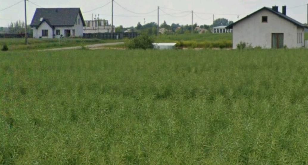 Działka budowlana Nowe Proboszczewice, Brak. Zdjęcie 3