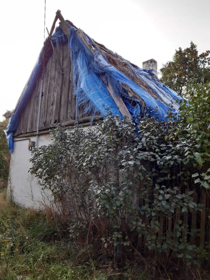 Działka Kotwasice. Zdjęcie 8