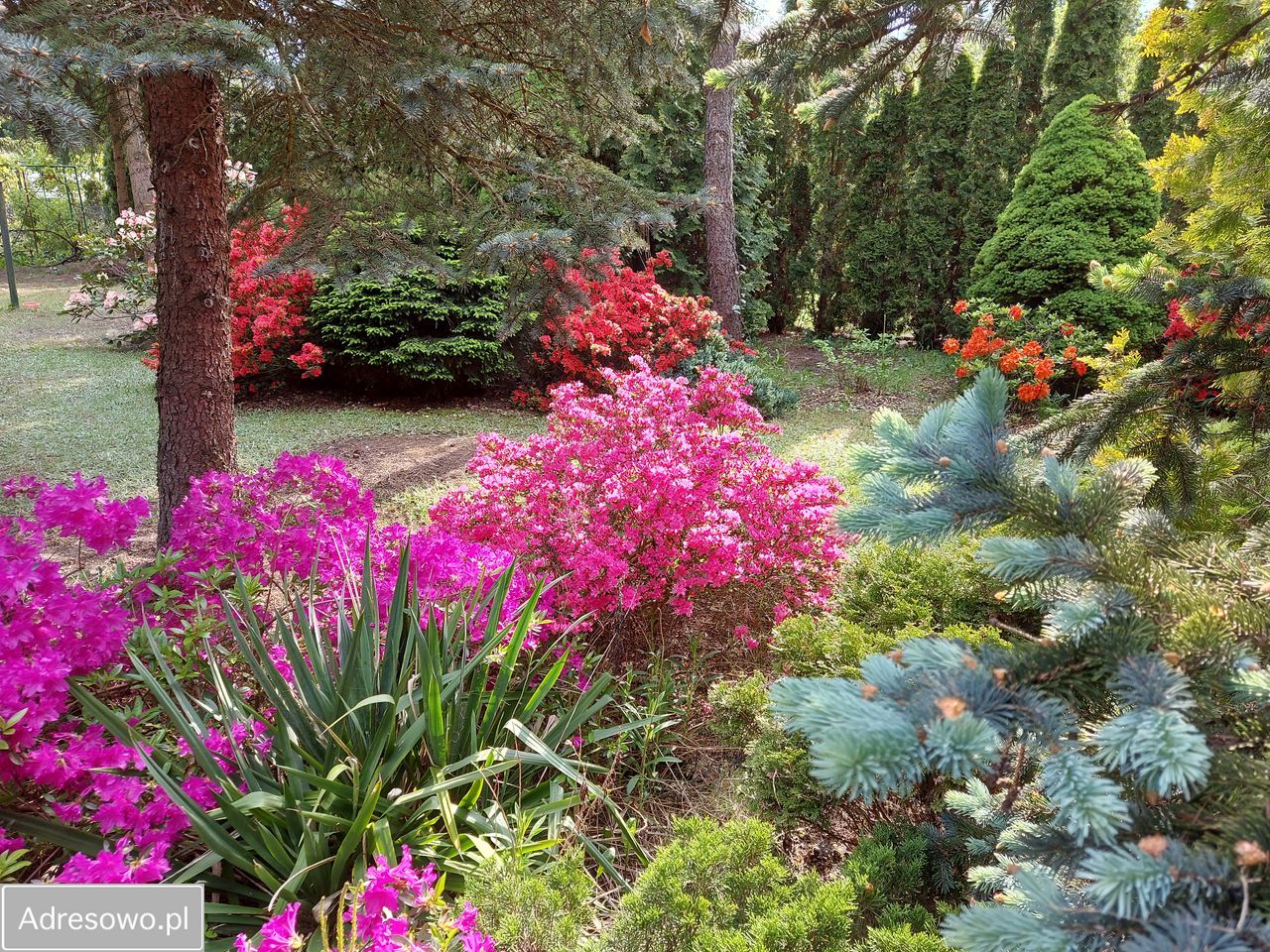 Działka rod Krępa, ul. Długa. Zdjęcie 15