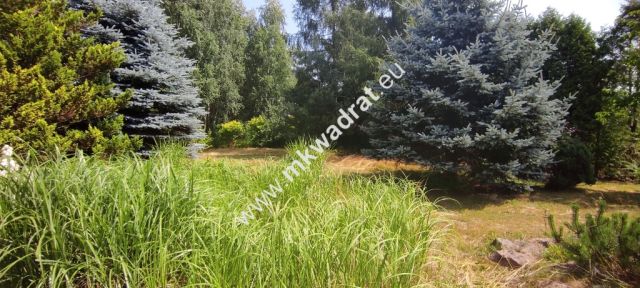 siedlisko, 3 pokoje Budy Wolskie. Zdjęcie 9