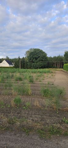 Działka budowlana Nowe Tłoki. Zdjęcie 1
