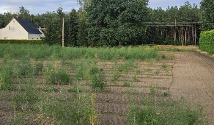 Działka budowlana Nowe Tłoki