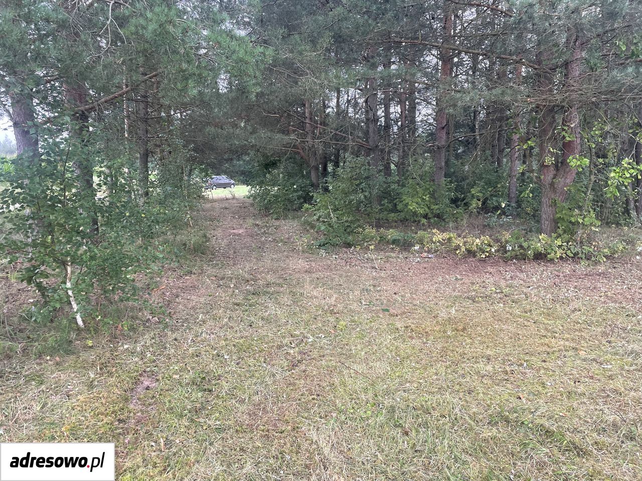 Działka rolna Brzozowy Hrud. Zdjęcie 9