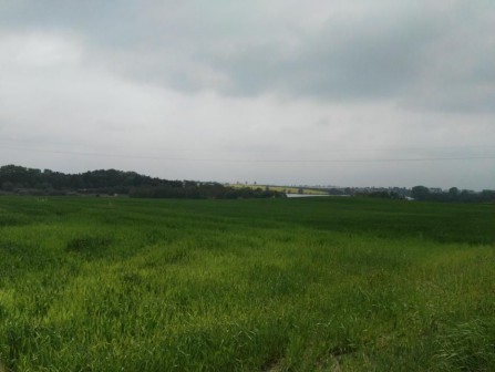 Działka budowlana Wenecja
