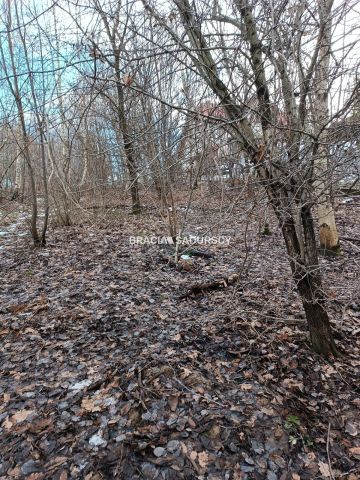 Działka inwestycyjna Czarnochowice. Zdjęcie 12