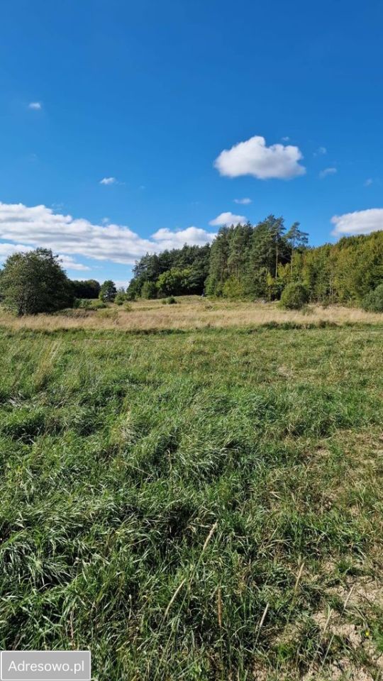 Działka budowlana Prokowo, ul. Kościelna. Zdjęcie 6