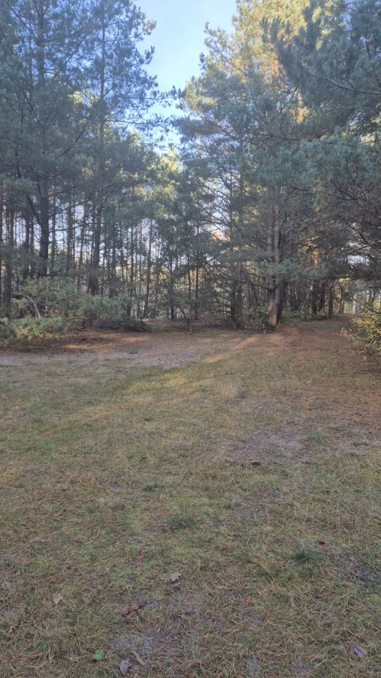 Działka rolno-budowlana Dubielno. Zdjęcie 5