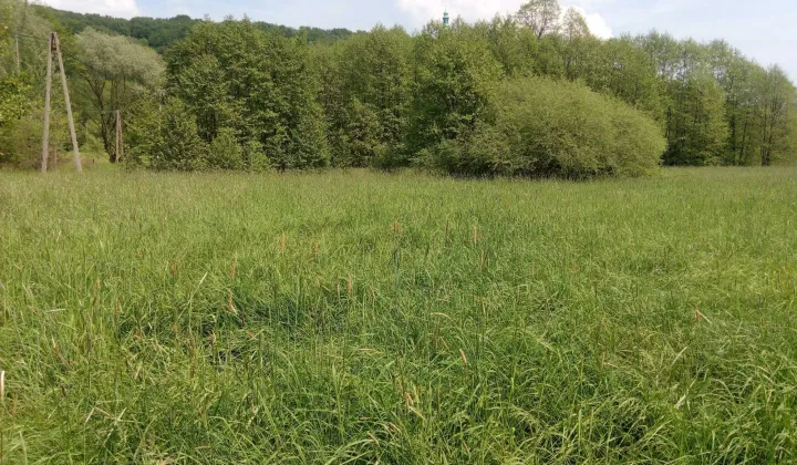 Działka inwestycyjna Alwernia