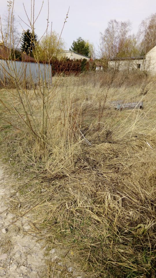 Działka rolno-budowlana Łoziska, ul. Skrawek Nieba. Zdjęcie 13