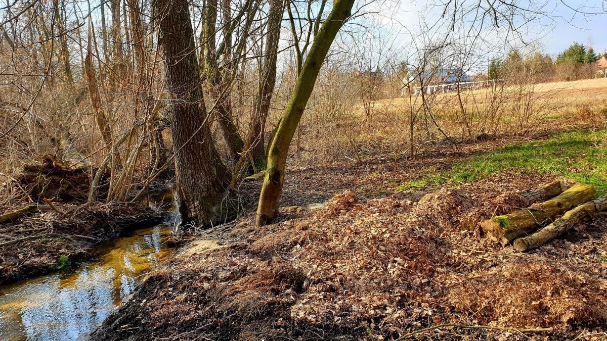 Działka budowlana Ciepłe, ul. Cichej Wody. Zdjęcie 6