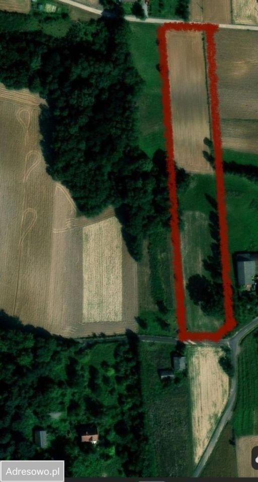 Działka siedliskowa Grzegorzowice. Zdjęcie 3