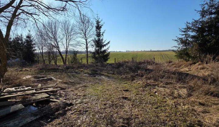 gospodarstwo Płochocin