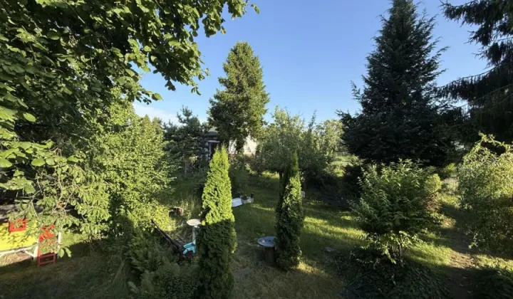 Działka rod Gdańsk Jasień, ul. Gronostajowa