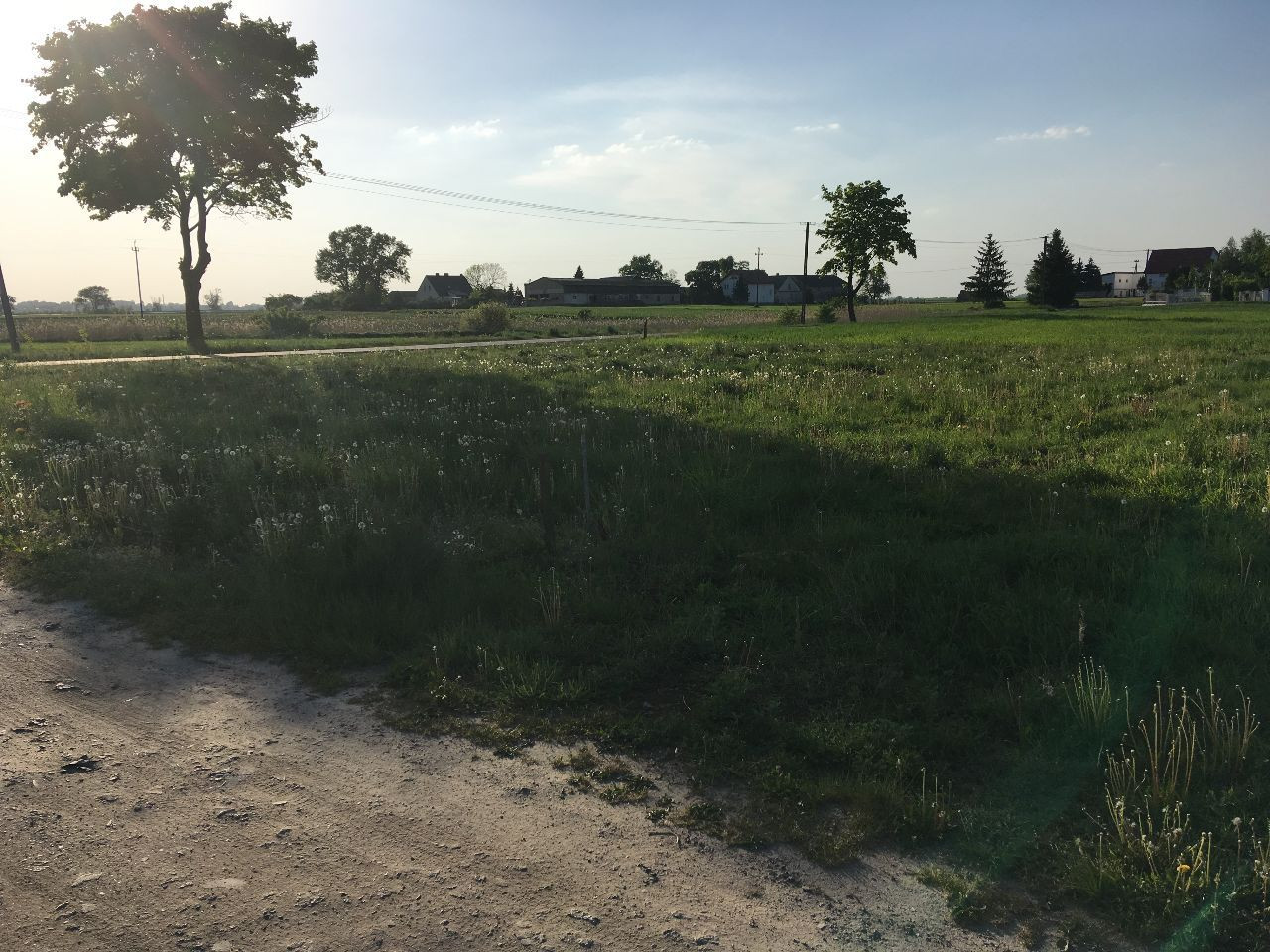 Działka budowlana Jacewo. Zdjęcie 6