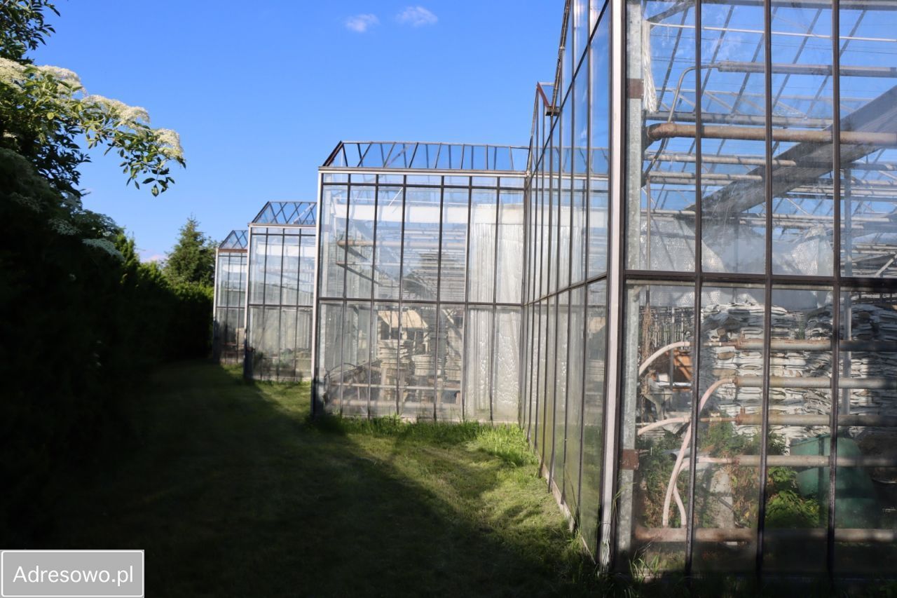 Działka rekreacyjna Antoniówka Świerżowska. Zdjęcie 9