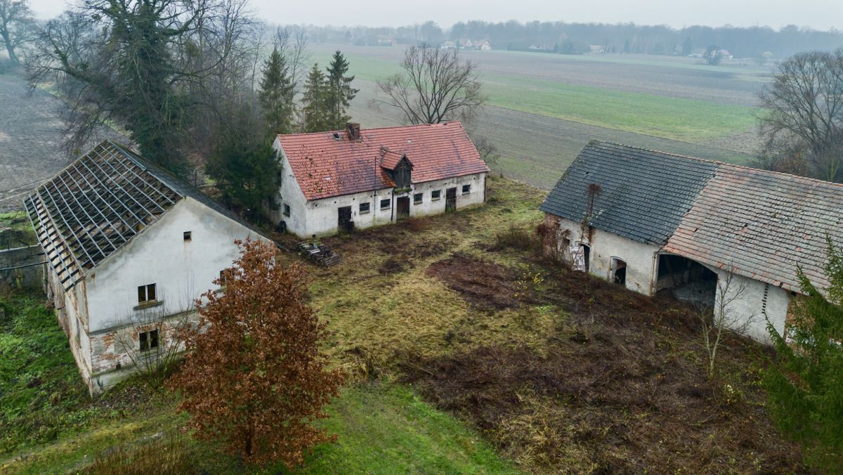 Działka budowlana Siekierowice. Zdjęcie 24