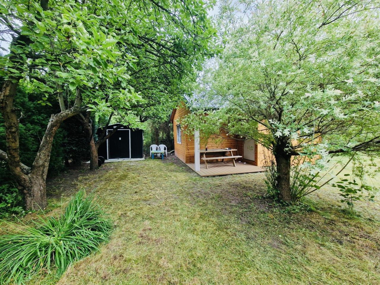 Działka rod Pruszków Ostoja, ul. Mieszka I. Zdjęcie 12