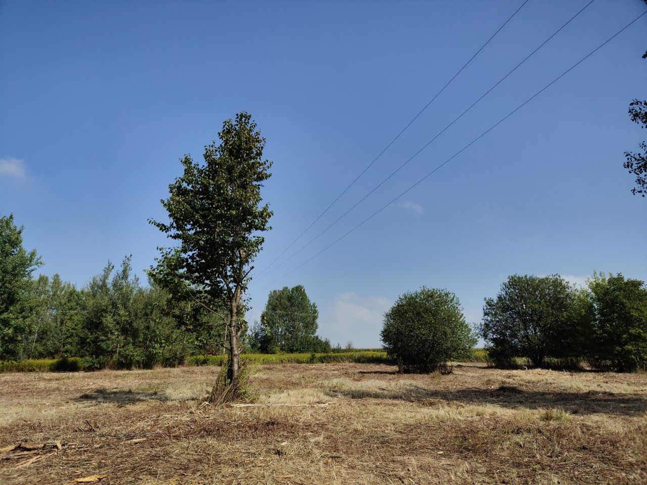 Działka budowlana Jabłonna Pierwsza. Zdjęcie 9