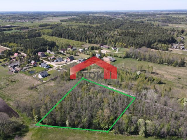 Działka leśna Trypucie. Zdjęcie 2