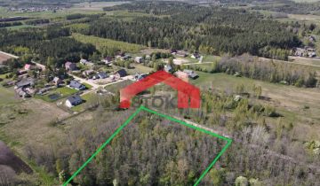 Działka leśna Trypucie