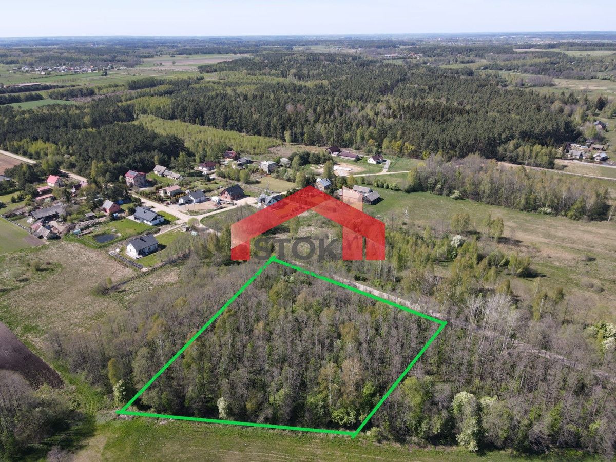 Działka leśna Trypucie. Zdjęcie 2