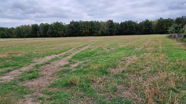Działka budowlana Sarnów, ul. Akacjowa. Zdjęcie 1