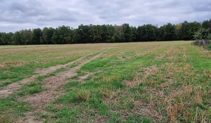 Działka budowlana Sarnów, ul. Akacjowa