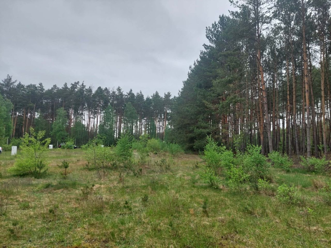Działka budowlana Świniotop, Spacerowa. Zdjęcie 7