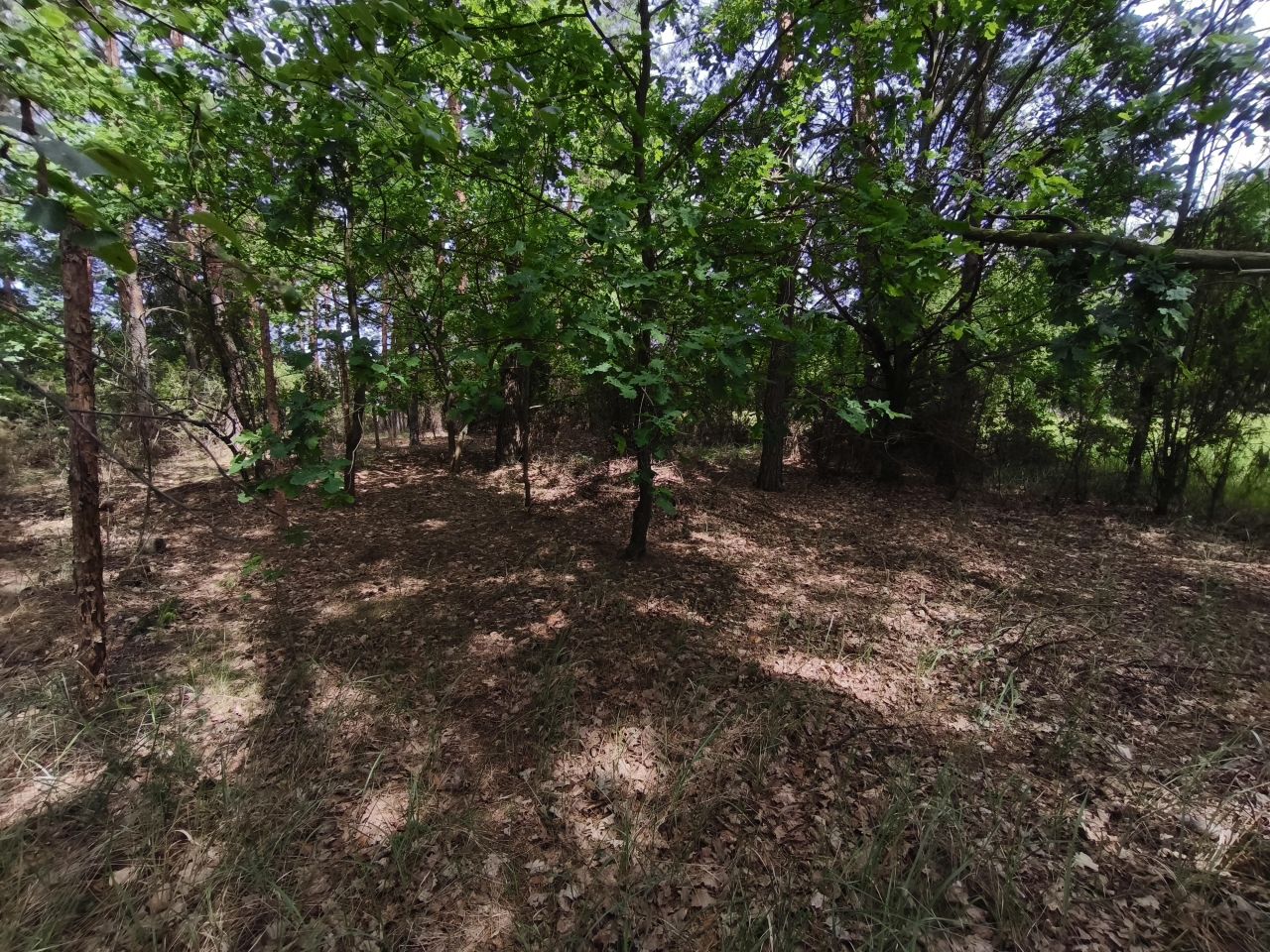 Działka budowlana Dąbrówka, ul. Leszczyny. Zdjęcie 6