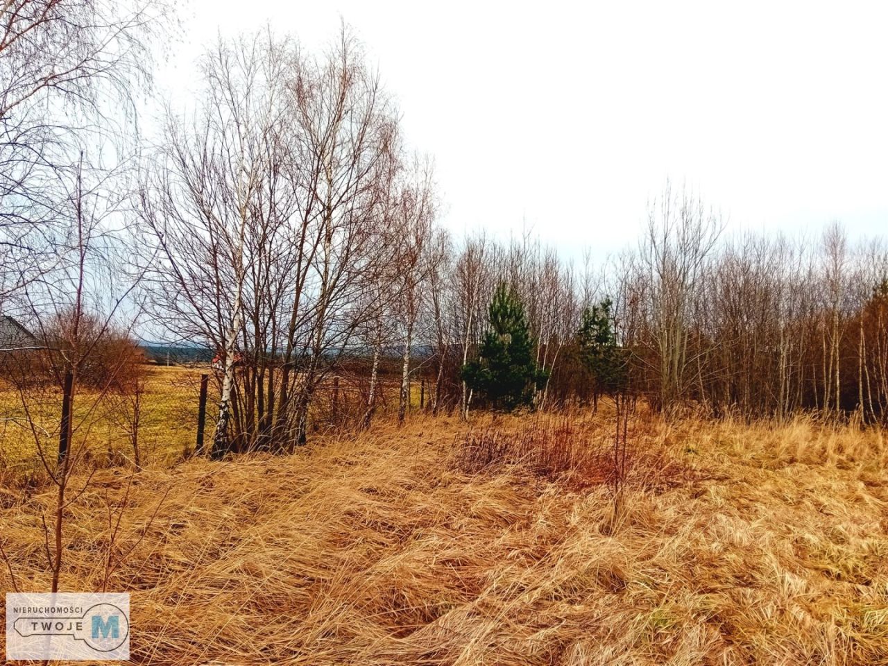 Działka budowlana Wilków. Zdjęcie 3