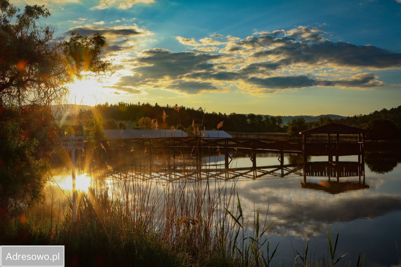 Lokal Dziwiszów, ul. Karkonoska. Zdjęcie 8