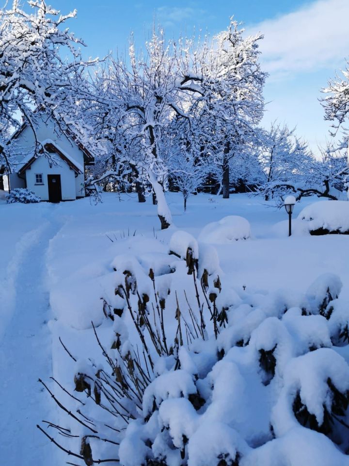 gospodarstwo Noskowo. Zdjęcie 2