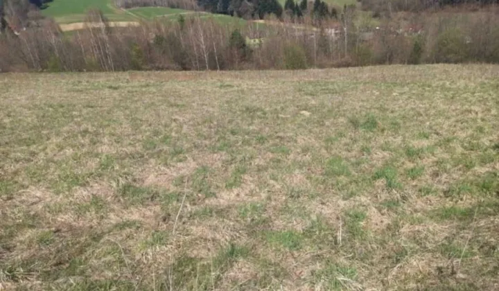 Działka rolna Binarowa