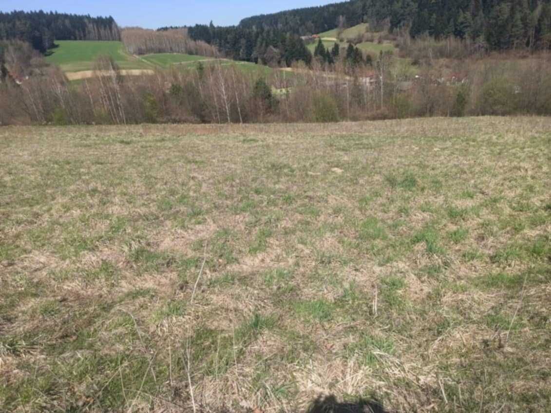 Działka rolna Binarowa