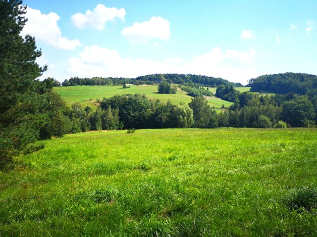 Działka rolna Szymbark. Zdjęcie 3