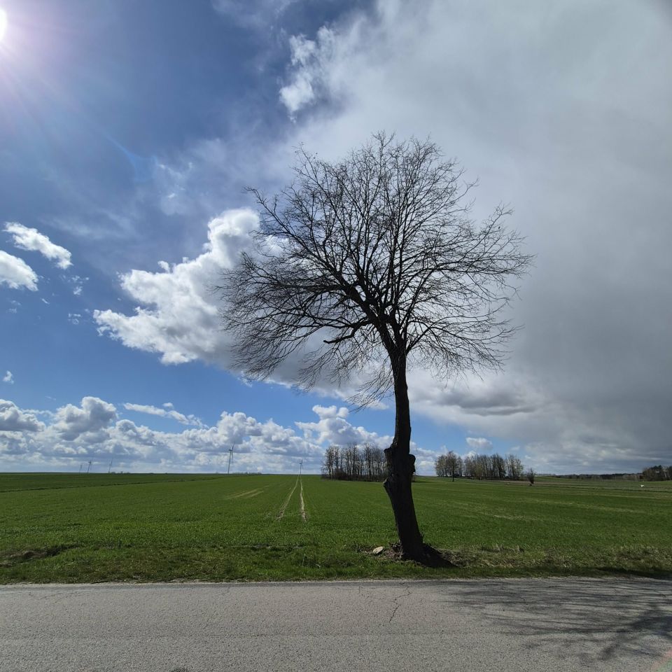 Działka budowlana Lutkówka. Zdjęcie 3