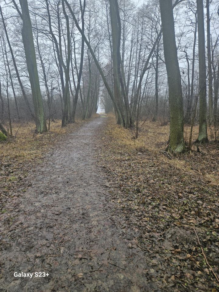 Działka rekreacyjna Kinice. Zdjęcie 2