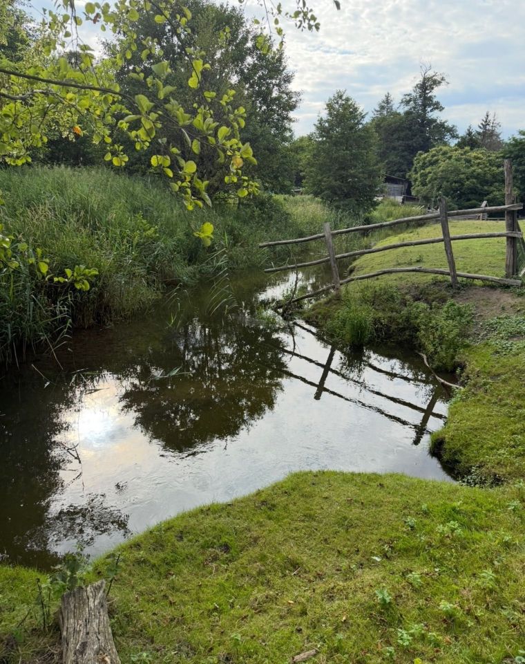 Działka rolna Nowe Wągry. Zdjęcie 4