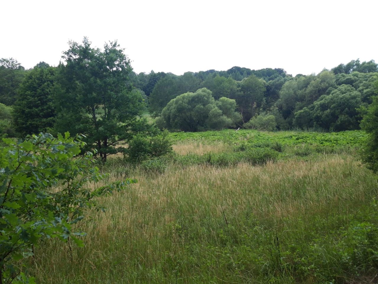 Działka budowlana Lipie. Zdjęcie 7