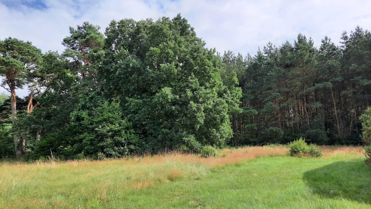 Działka budowlana Izbica. Zdjęcie 5