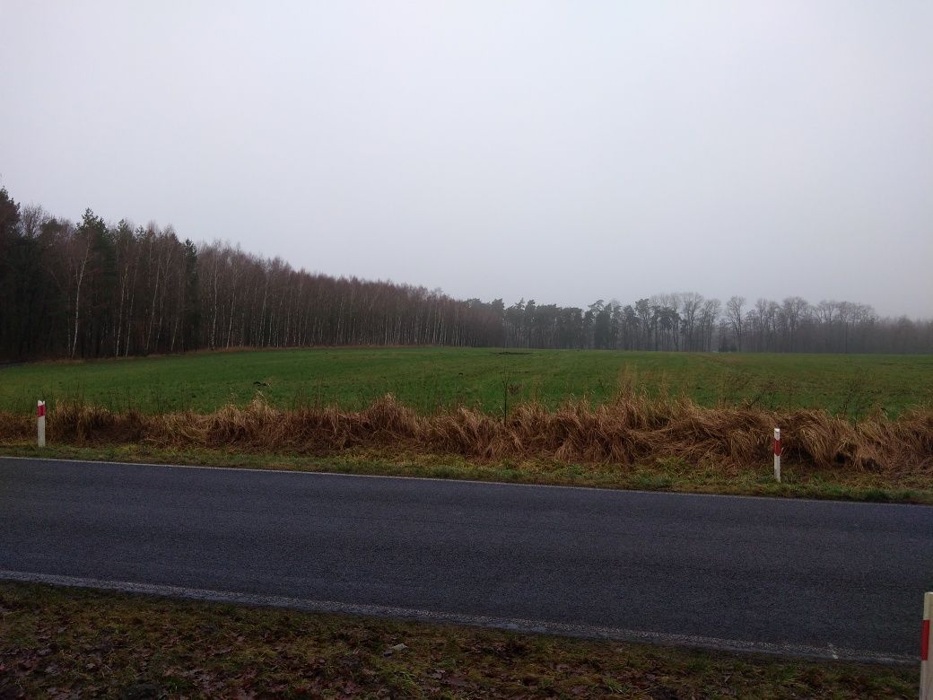 Działka rolna Ciszkowo. Zdjęcie 6