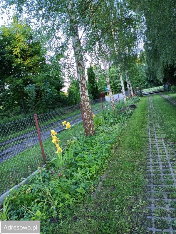 dom wolnostojący, 8 pokoi Pasym, ul. Spacerowa. Zdjęcie 6