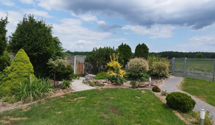 Działka rekreacyjna Jedlicze A