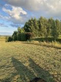 Działka rolno-budowlana Chmielno, Mierzei. Zdjęcie 2