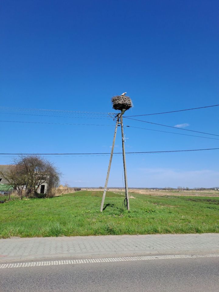 Działka rolno-budowlana Szczerbaków. Zdjęcie 2