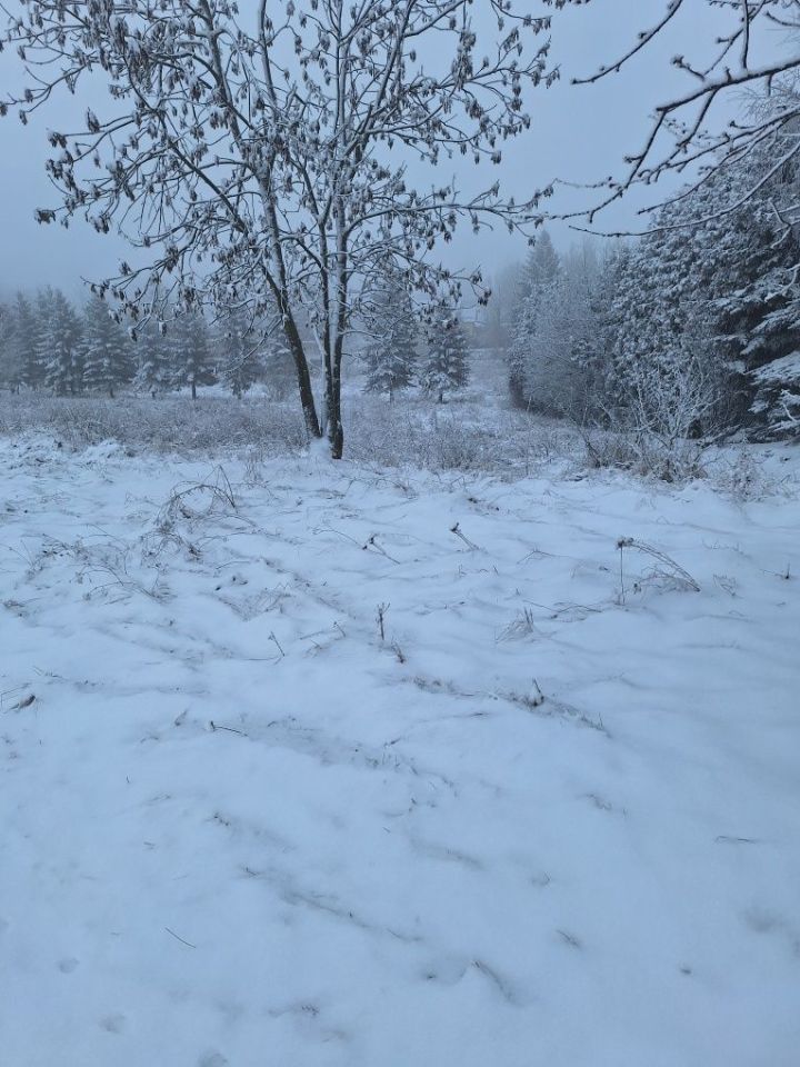 Działka rolno-budowlana Gostków. Zdjęcie 7