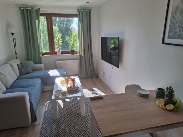 Mieszkanie 2-pokojowe Bytom Śródmieście, ul. Mikołaja Reja. Zdjęcie 1