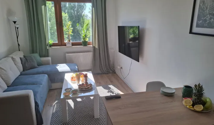 Mieszkanie 2-pokojowe Bytom Śródmieście, ul. Mikołaja Reja