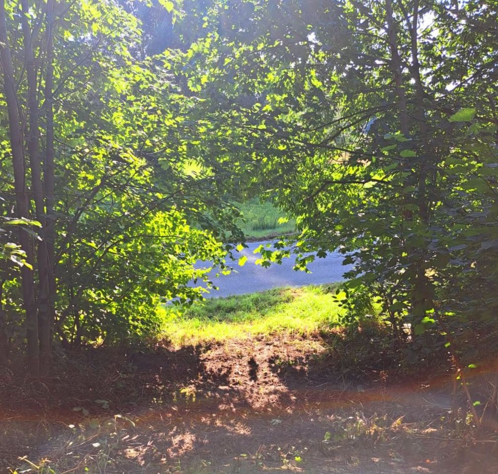 Działka rolna Antoniówka. Zdjęcie 7