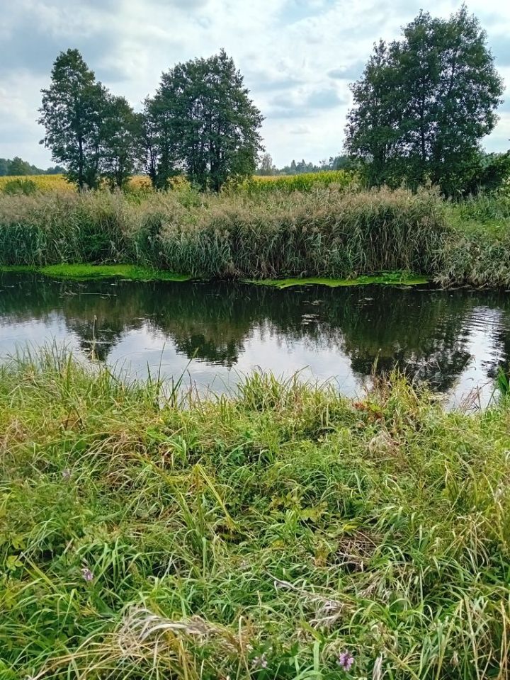 Działka rolna Giełczynek. Zdjęcie 2